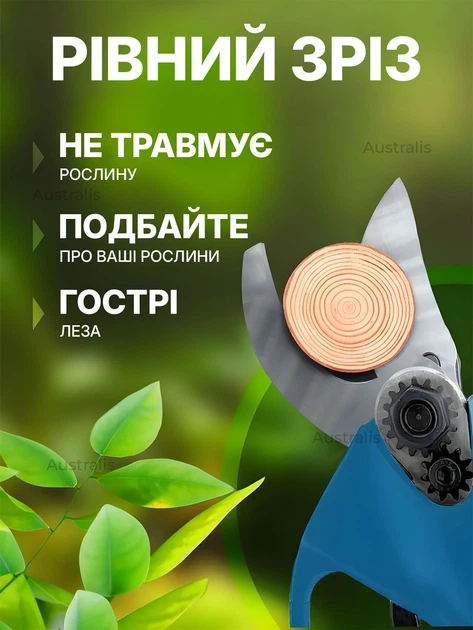 Рівний зріз секатором Domotec